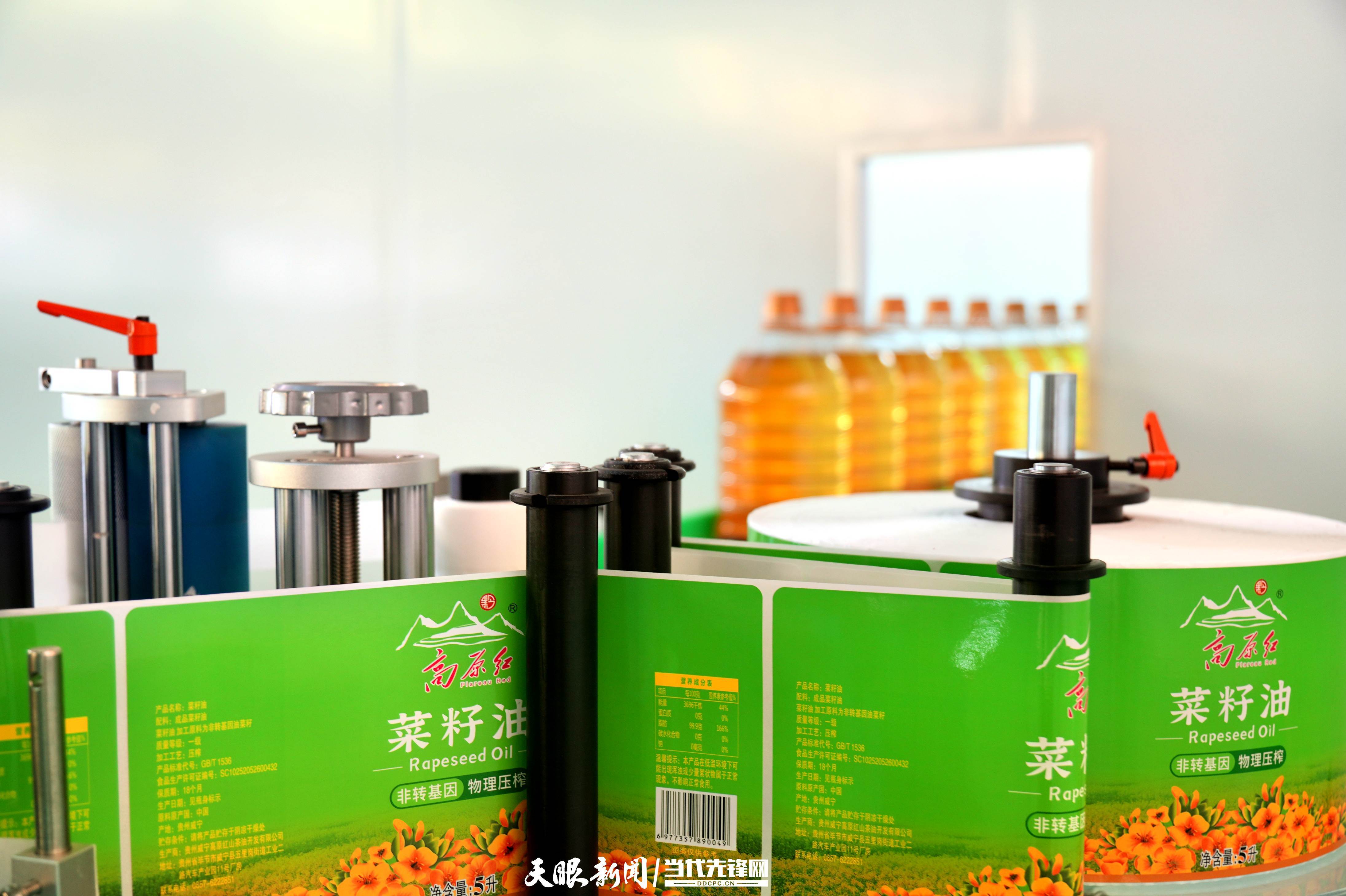 威宁：高原油香飘四方