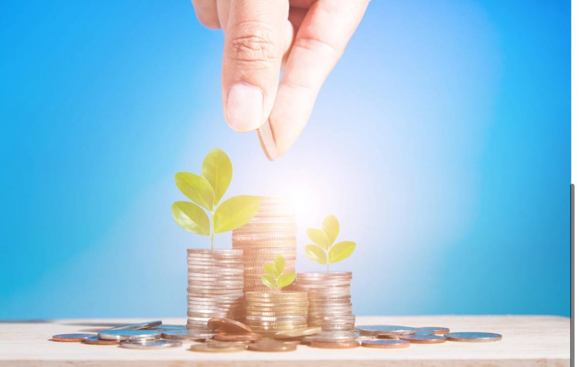 国泰海通证券邱苗:当"坐庄"成为职场棱镜,照见的不仅是行情,更是成长的轨迹