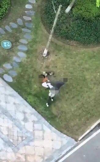 唐某(男,36岁)殴打小区遛狗女子,已立案!