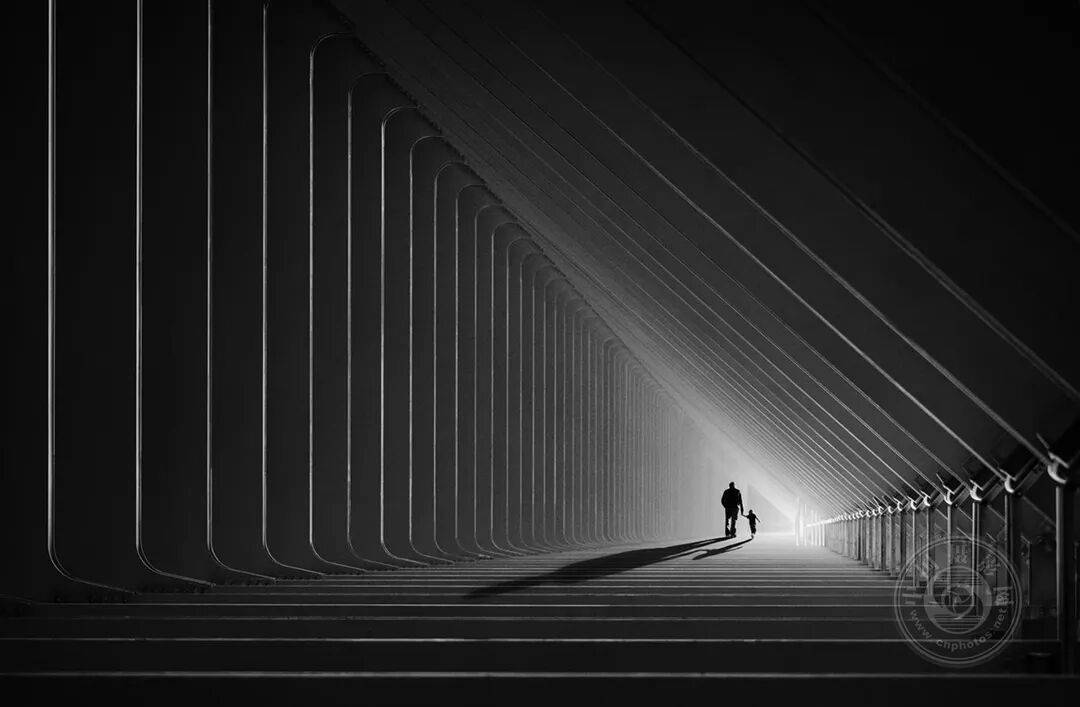 中国摄影网获29个奖项,2025年俄罗斯第3届大欧亚四地巡回摄影展(单色组)获奖公布