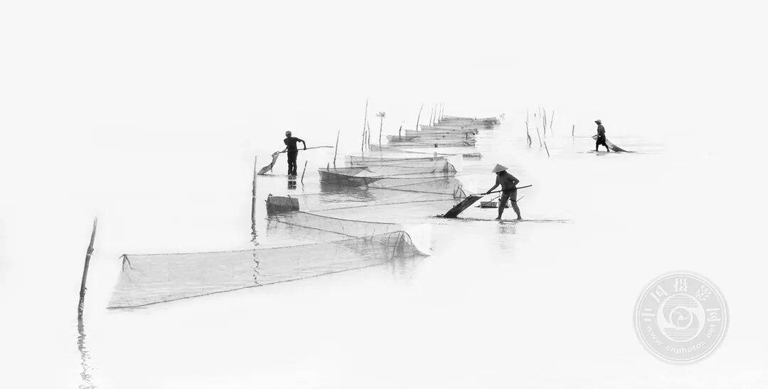 中国摄影网获29个奖项,2025年俄罗斯第3届大欧亚四地巡回摄影展(单色组)获奖公布