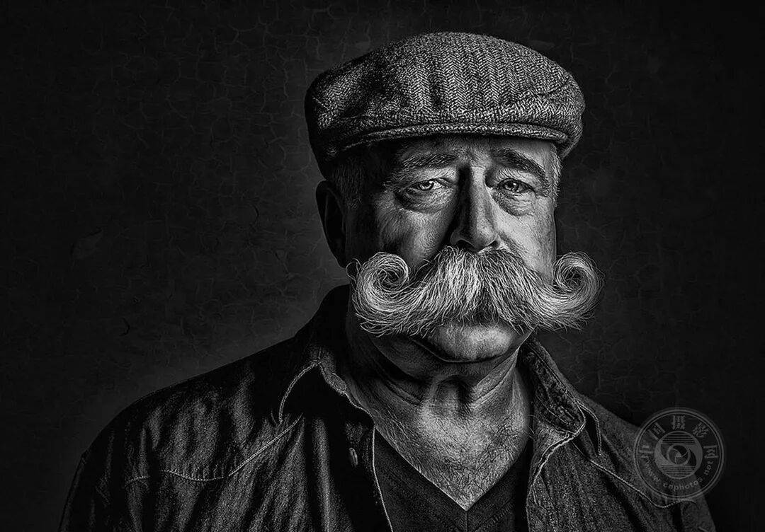 中国摄影网获29个奖项,2025年俄罗斯第3届大欧亚四地巡回摄影展(单色组)获奖公布