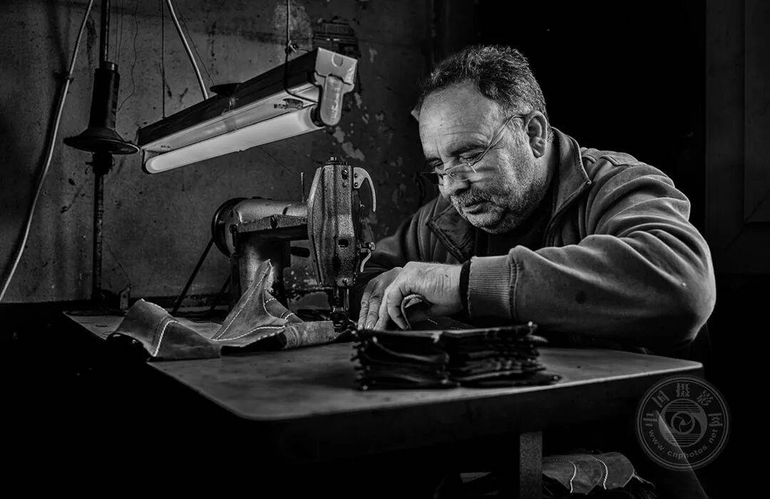 中国摄影网获29个奖项,2025年俄罗斯第3届大欧亚四地巡回摄影展(单色组)获奖公布