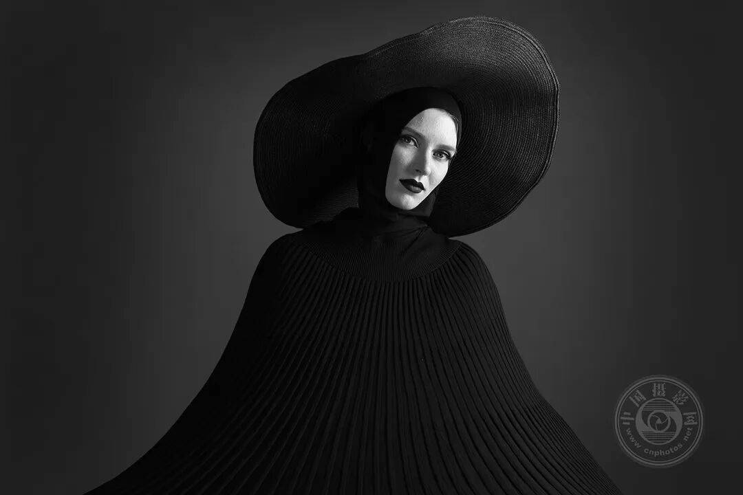 中国摄影网获29个奖项,2025年俄罗斯第3届大欧亚四地巡回摄影展(单色组)获奖公布