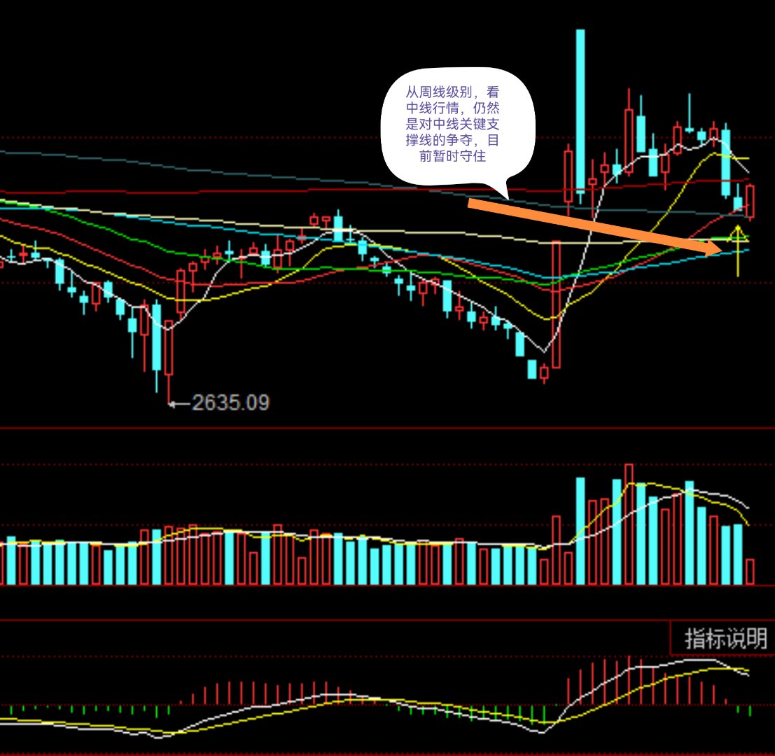 两面针股票(两面针股票最新消息) 两面针股票(两面针股票最新消息)
