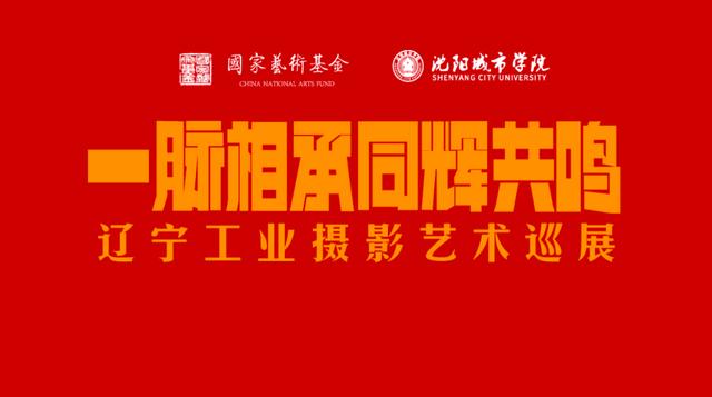 国家艺术基金(国家艺术基金主任)