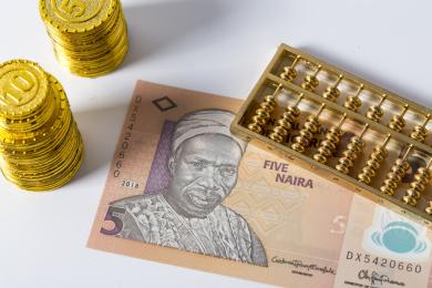 尼日利亚货币(尼日利亚货币兑换美元) 尼日利亚货币(尼日利亚货币兑换美元)