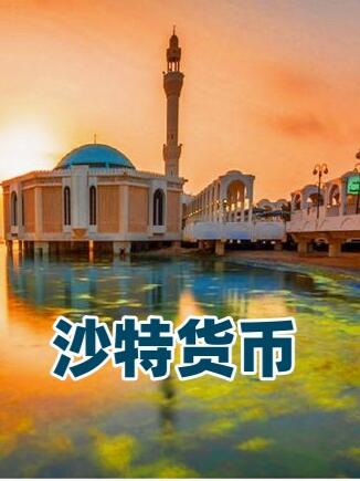 沙特货币(沙特货币图片)